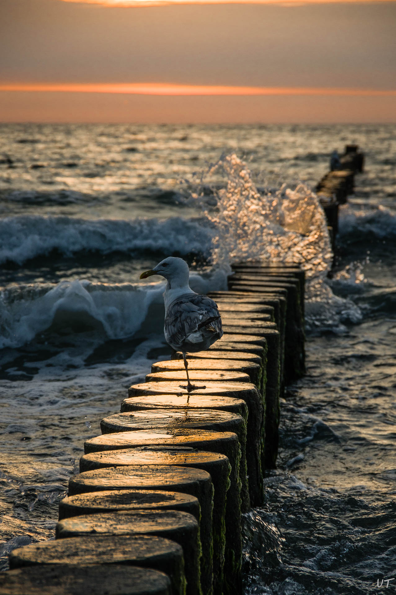 Fischland/Darss/Zingst